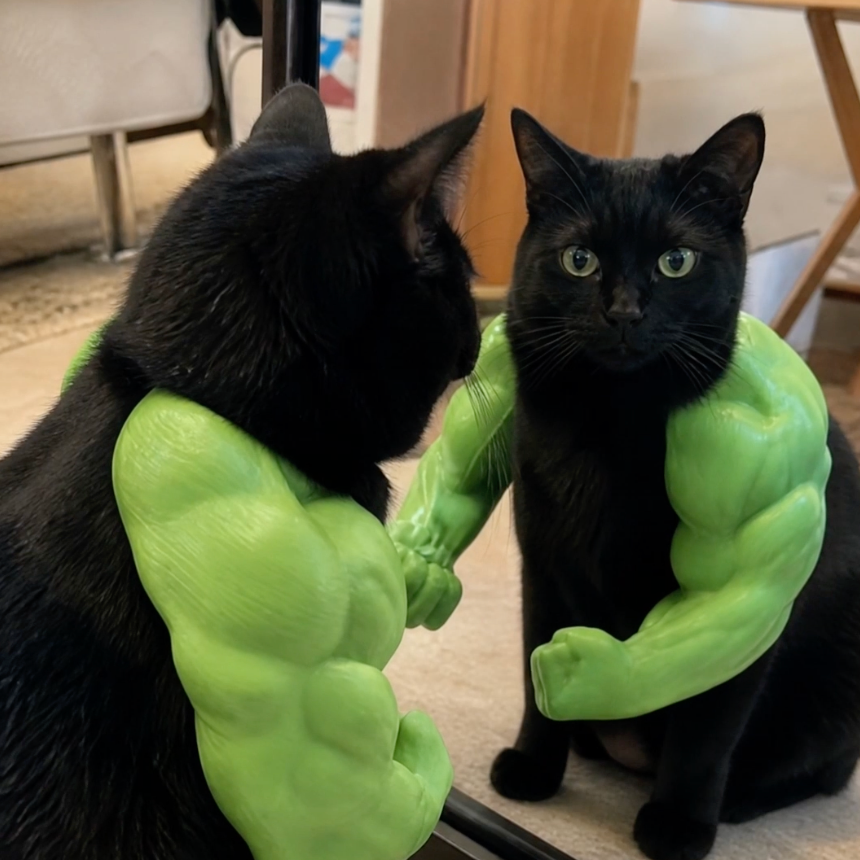 Meowscular Arms on a cat